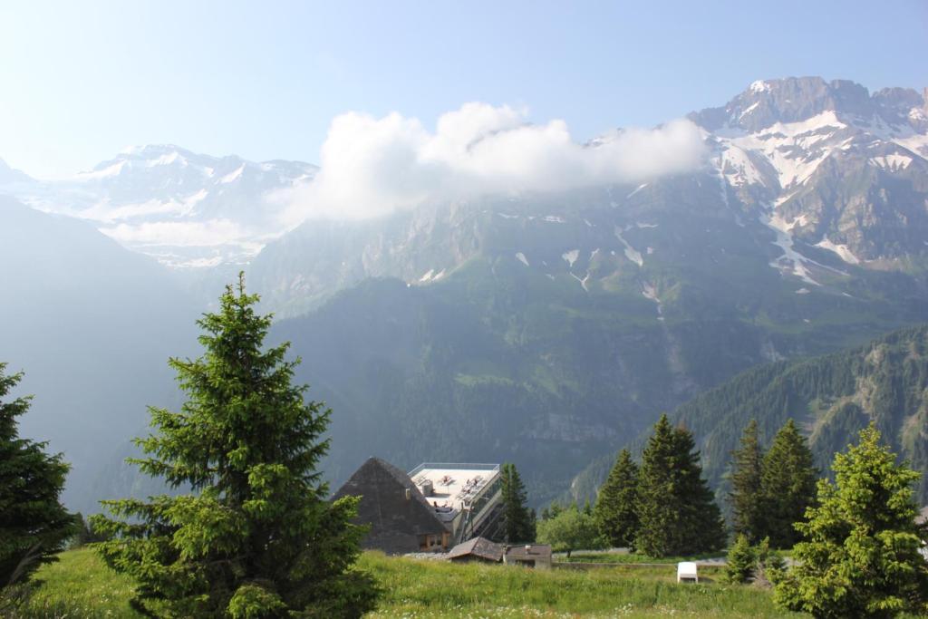 Plein Ciel - Hotel D'Altitude A 1800M Champéry Eksteriør billede